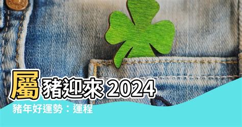 2024屬豬運程|2024屬豬幾歲、2024屬豬運勢、屬豬幸運色、財位、禁忌